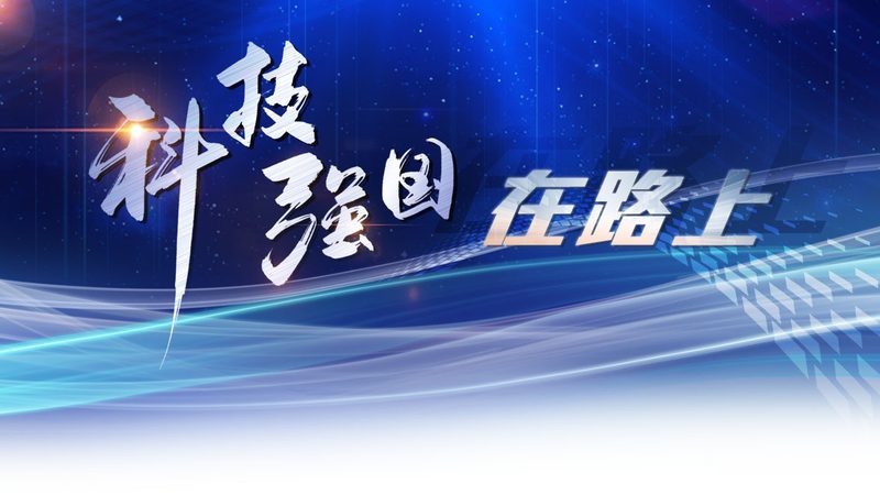数据治理委员会年度工作计划：如何构建高效的数据治理体系